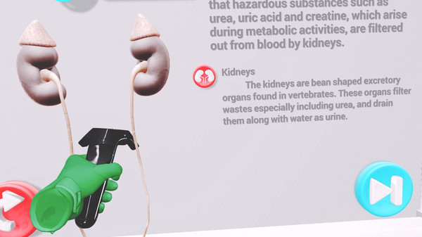 Скриншот из VRLab Academy: Anatomy VR