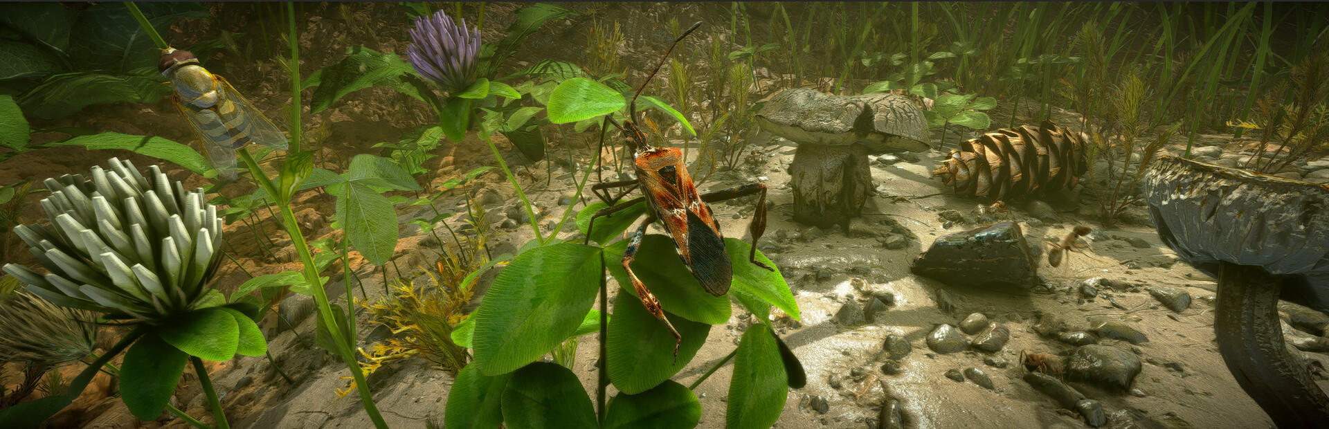 Insect Worlds Hero Image