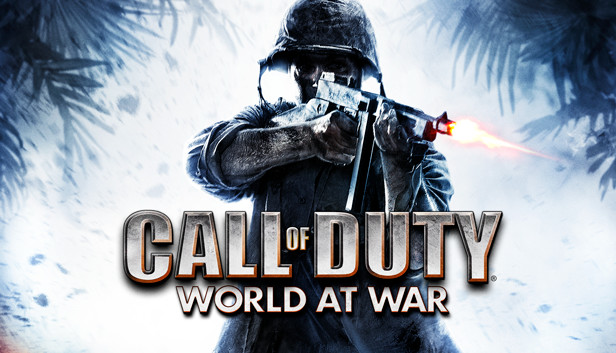 call of duty world war 2 beta crash launch