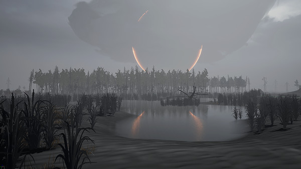 Into the Radius VR for linux