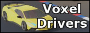 Voxel Drivers