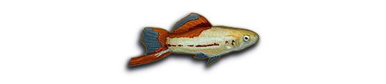 Fish Simulator: Aquarium Manager