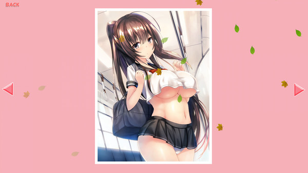 Ecchi Girls game for Linux 1