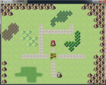 Experience game for Linux 1