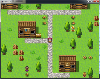 Experiencefor windows and Linux 1