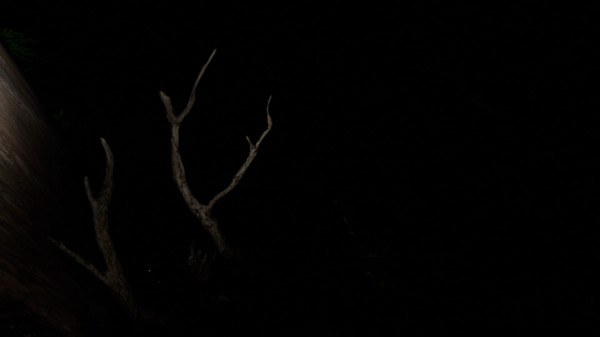 King's Lairfor windows and Linux 1