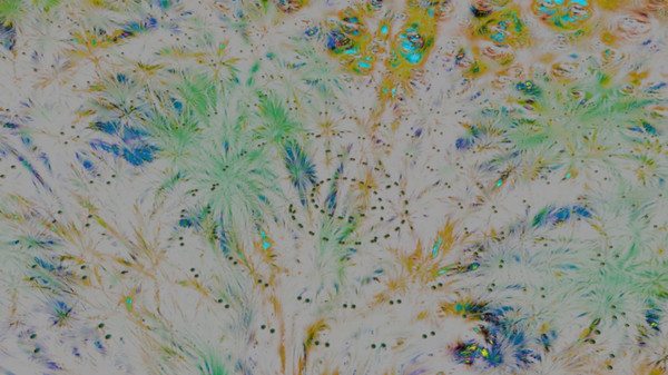 Radiant Ascent VR game for windows Pc 1