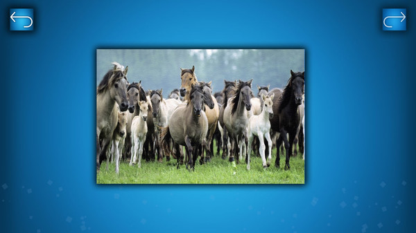 PUZZLE: ANIMALSfor windows and Linux 1