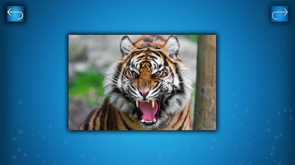 PUZZLE: ANIMALS for linux