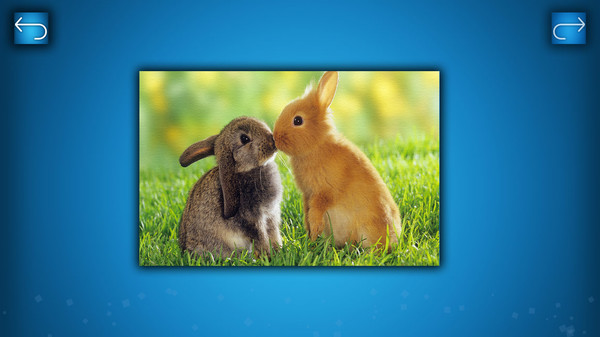 PUZZLE: ANIMALS game for Linux 1