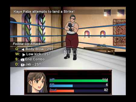 wrestling revolution 2d