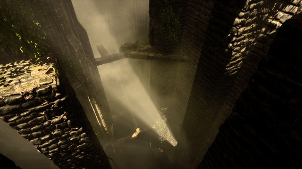 The Woods: VR Escape the Roomfor windows and Linux 1