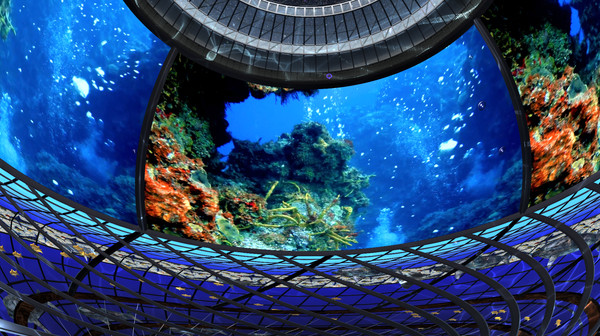 DepthQVR_AQUAfor windows and Linux 1