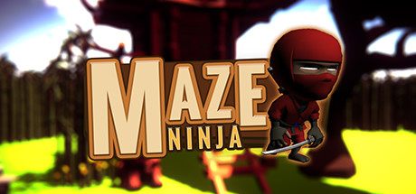 Maze Ninja cover art