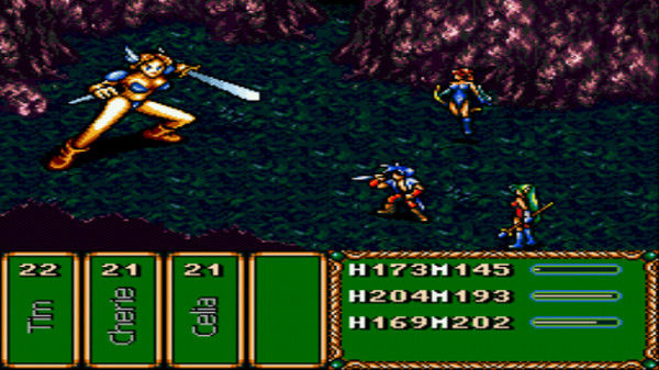 Скриншот из Brave Battle Saga - The Legend of The Magic Warrior