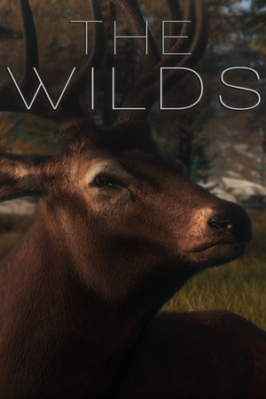 The WILDS poster image on Steam Backlog