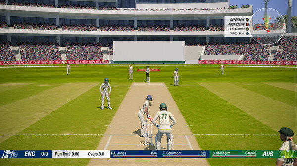 Скриншот из Cricket 19