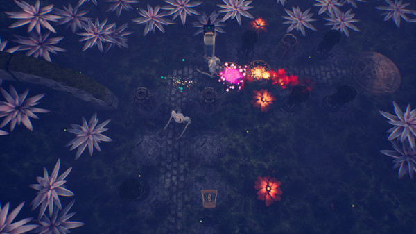 Sunset Planetfor windows and Linux 1