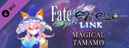Fate/EXTELLA LINK - Magical Tamamo