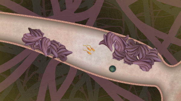 biorhythm game for windows Pc 1