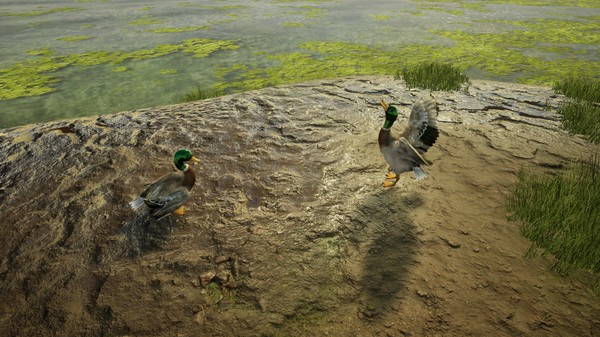 Animal Doctorfor windows and Linux 1