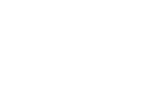 Wild Castle Logo