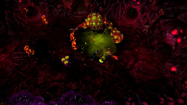 Obey Mefor windows and Linux 1