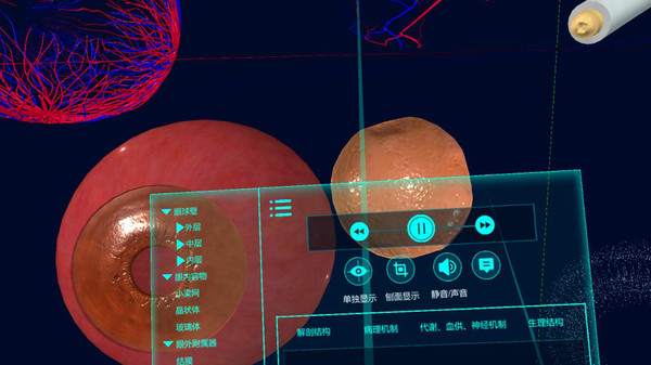 眼睛（眼球）结构研究 game for windows Pc 1