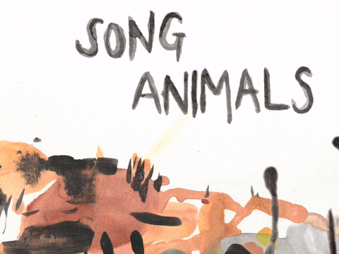 Song Animals on Steam
