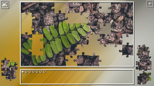 Super Jigsaw Puzzle： Generations-游戏截图