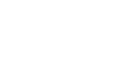 FortressCraft : Phoenix Logo