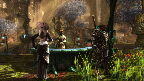 Скриншот из Kingdoms of Amalur: Re-Reckoning