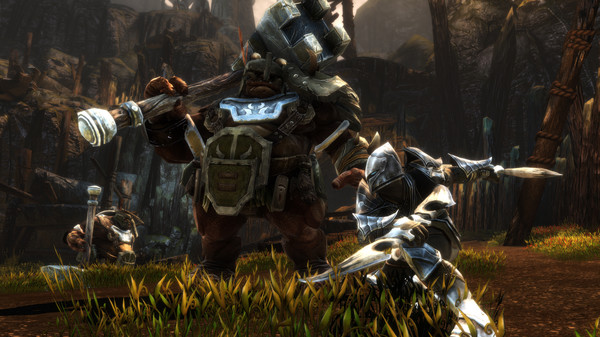 Kingdoms of Amalur: Re-Reckoning game for Linux 1