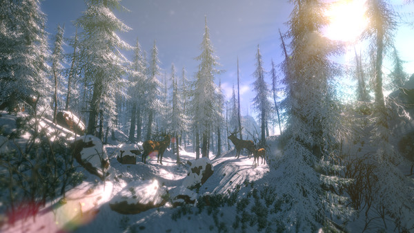 FlowScape game for windows Pc 1