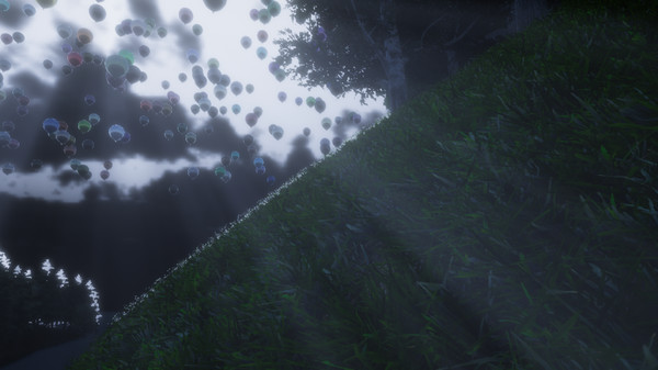 in my Dreamfor windows and Linux 1