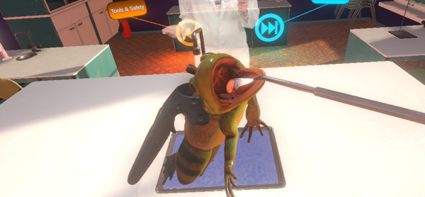 Скриншот из Dissection Simulator: Frog Edition
