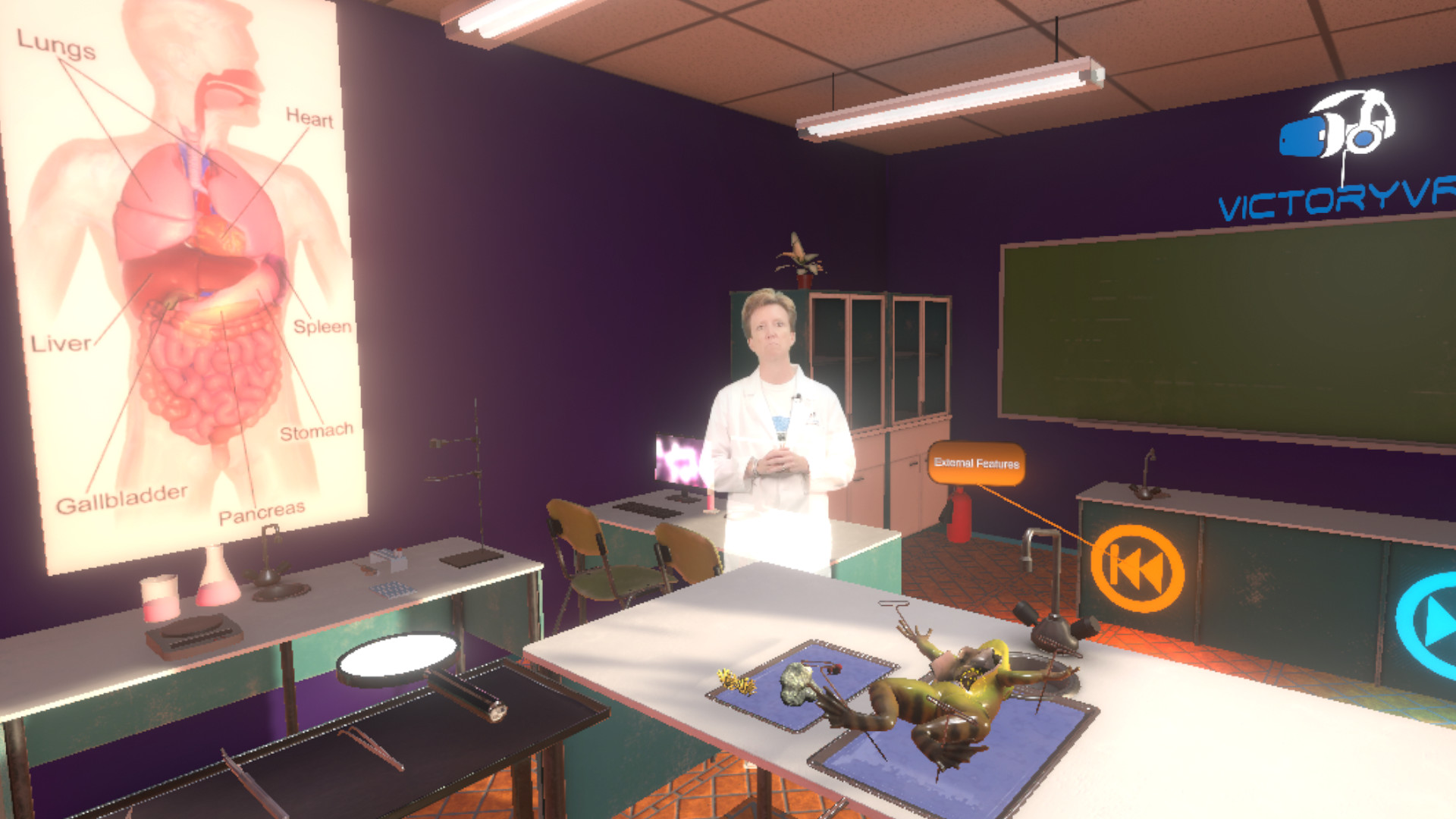 Oculus Quest 游戏《Dissection Simulator Frog Edition》解刨学：解剖青蛙