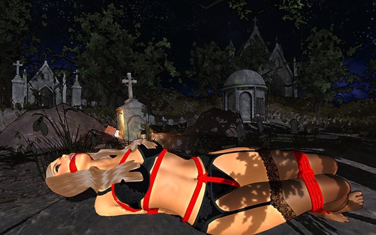 Скриншот из Bondage Nightmare