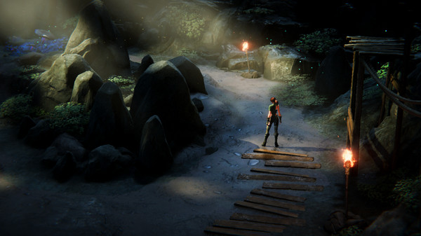 Naxiafor windows and Linux 1