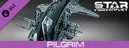 Star Conflict - Pilgrim