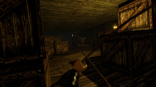 Free Company VRfor windows and Linux 1