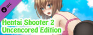 Hentai Shooter 2 - Uncensored Art Collection
