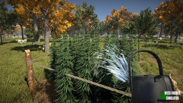 Скриншот из Weed Farmer Simulator