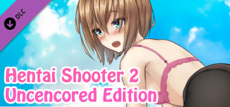 Hentai Shooter 2: Uncensored Edition cover art
