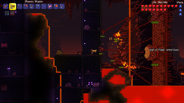 Скриншот из Terraria