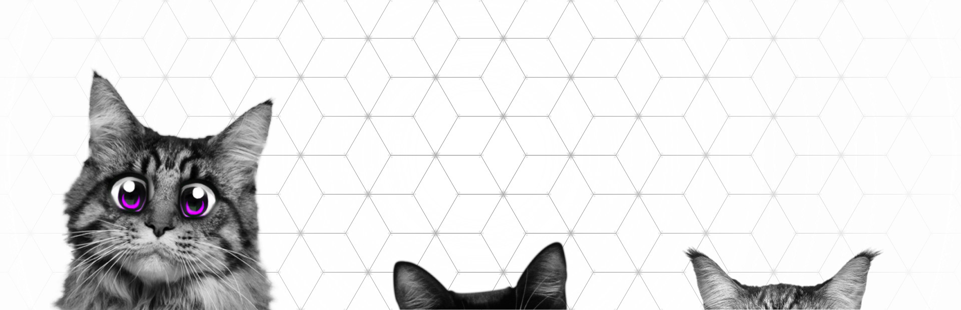 Super Web Kittens: Act I