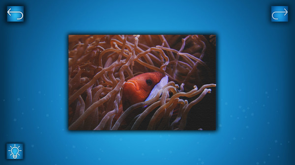 Скриншот из PUZZLE: OCEAN