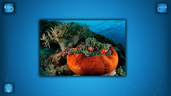 Скриншот из PUZZLE: OCEAN