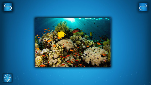 PUZZLE: OCEAN for linux