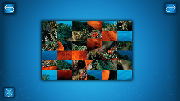 PUZZLE: OCEANfor windows and Linux 1